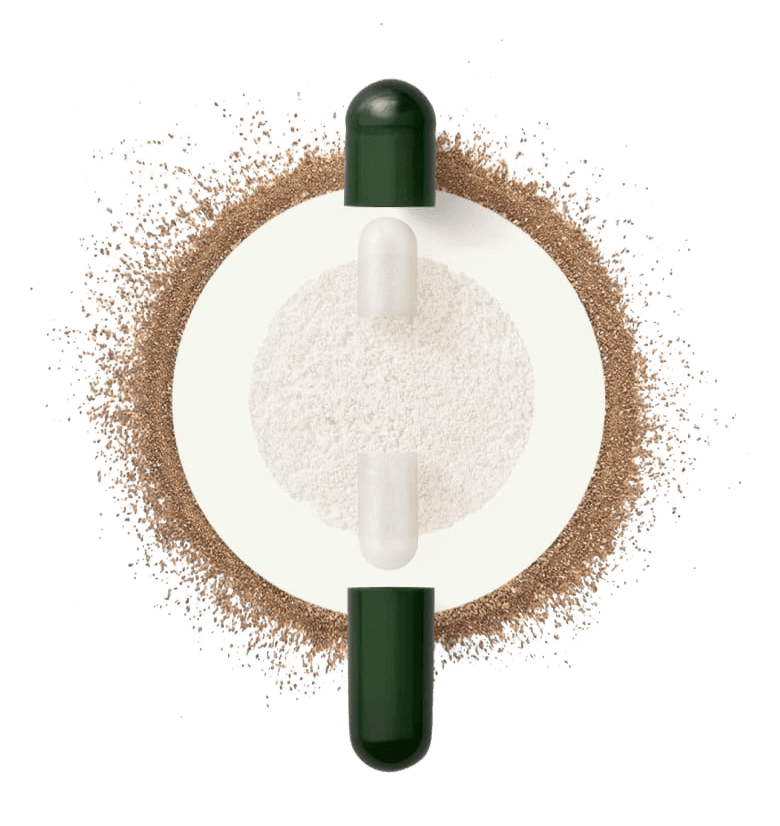 Bambrew eco-friendly products